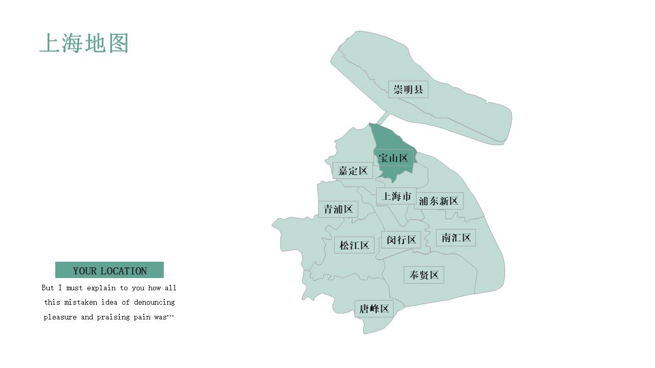 图表系列 (9).pptx